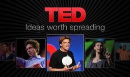 ted在线观看,在线观看的精彩瞬间回顾